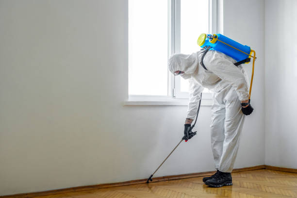 Trusted Sundown, TX Pest Control Experts