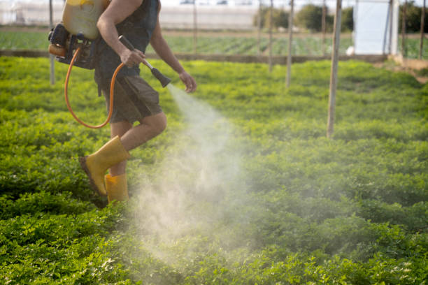 Best Exterminator Services  in Sundown, TX