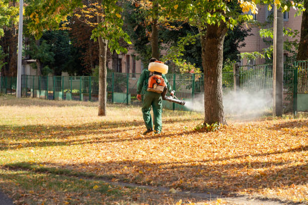 Best Pest Removal Services  in Sundown, TX