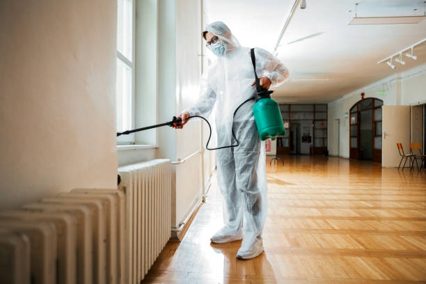 Best Termite Control Services  in Sundown, TX